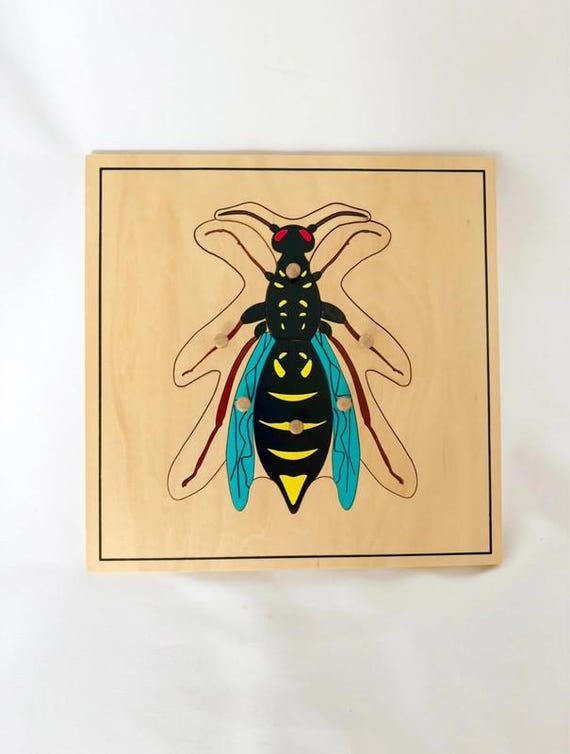 Montessori Insect Puzzle – Wooden Zoology 26 x 26 cm – Learning from 3 years old