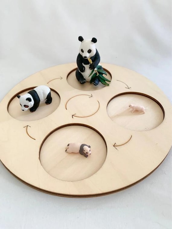 Montessori - Giant Panda Life Cycle - Educational Materials - Wooden Life Cycle Board - Nature Discovery - France