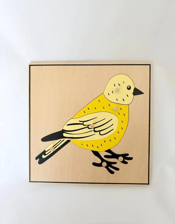 Montessori Bird Puzzle – Wooden Sensory Material 26 x 26 cm – Zoology from 3 years old