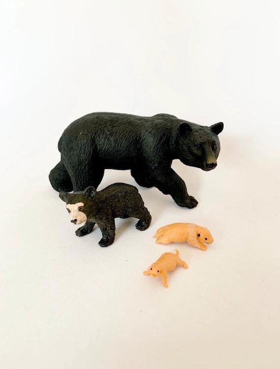 Montessori Bear Life Cycle Activity - Kids Figurines Set - Nature Discovery - France