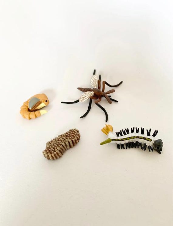Montessori - Mosquito Life Cycle - Figurines - Nature Discovery - France