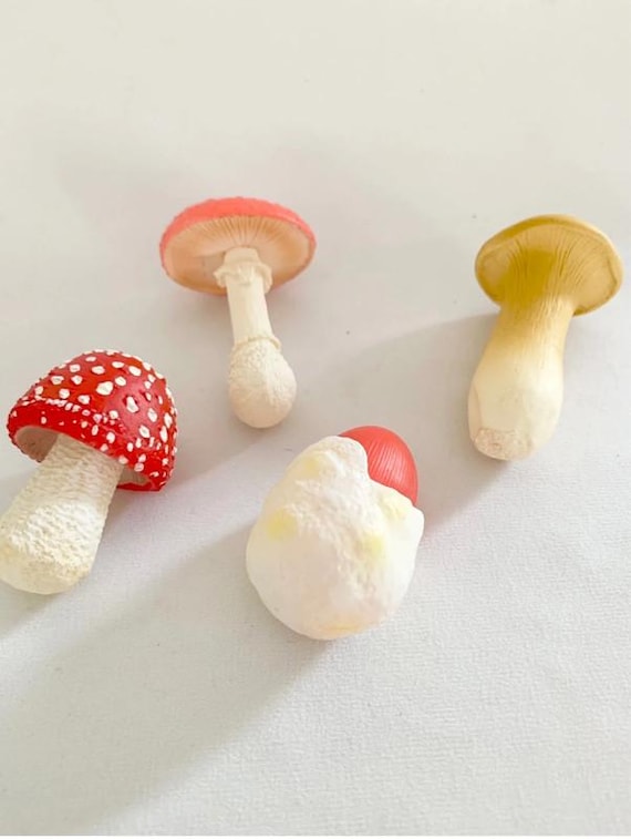 Montessori - Mushroom Life Cycle - Nature Discovery - France - Wooden Tray - Decorative Learning Figurines