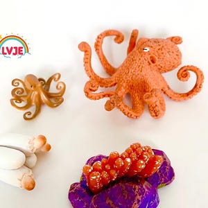 Actividad Montessori sobre el ciclo de vida del pulpo - Descubrimiento de la naturaleza - Francia - Set de figuras para niños