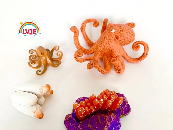 Montessori Octopus Life Cycle Activity - Nature Discovery - France - Kids Figurines Set
