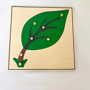 Montessori Leaf Puzzle – Wooden Sensory Material – Botany from 3 years old