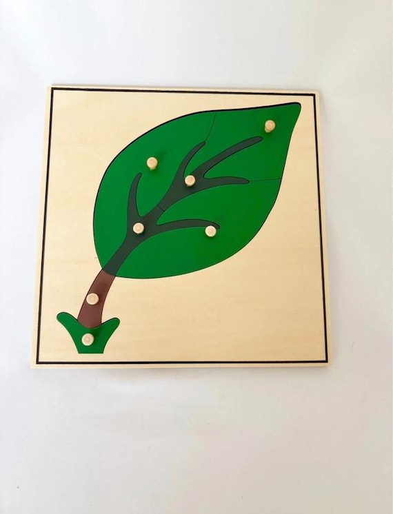 Montessori Leaf Puzzle – Wooden Sensory Material – Botany from 3 years old