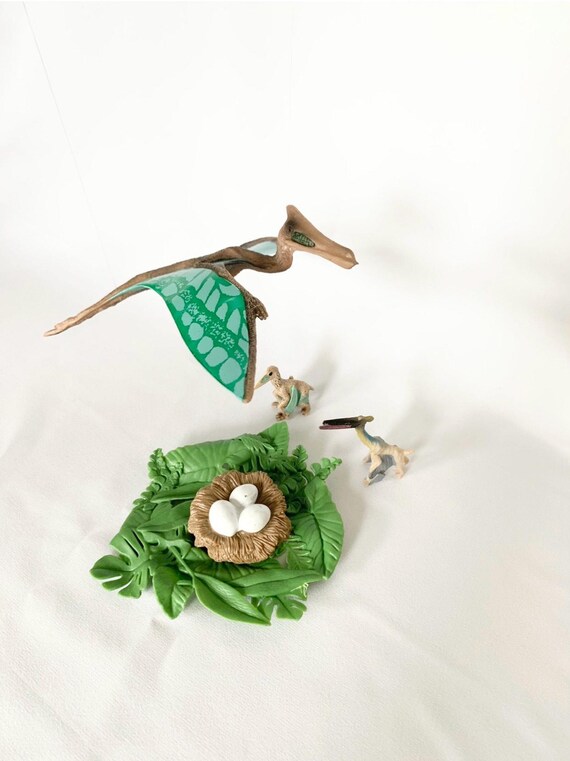 Life cycle of the flying dinosaur