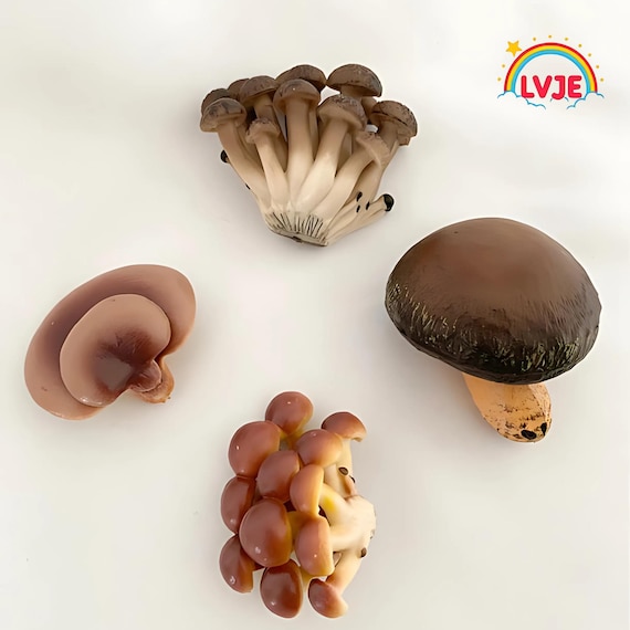 Montessori - Mushroom Life Cycle - Wooden Tray - Nature Discovery - France