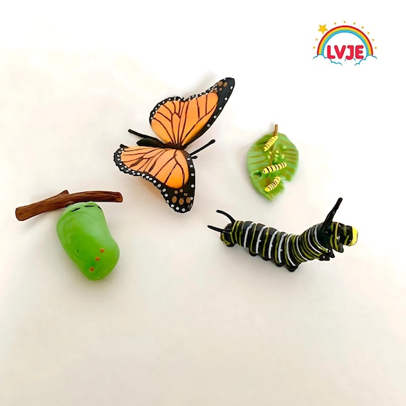 Montessori Butterfly Life Cycle Figurine Set - Educational Toys for Nature Discovery