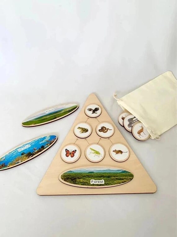 Montessori Wooden Food Chain Puzzle - Educational Game to Discover the Ecosystem - Nature Discovery - France