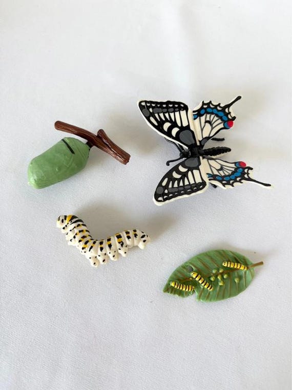 Montessori Butterfly Life Cycle Set | Realistic Figurines | STEM Science Toy for Kids | Homeschool Preschool Learning