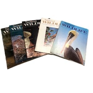 Lot med 5 olika nationella naturtidningar. Begagnat i mycket gott skick. Årsprenumeration från 1968.