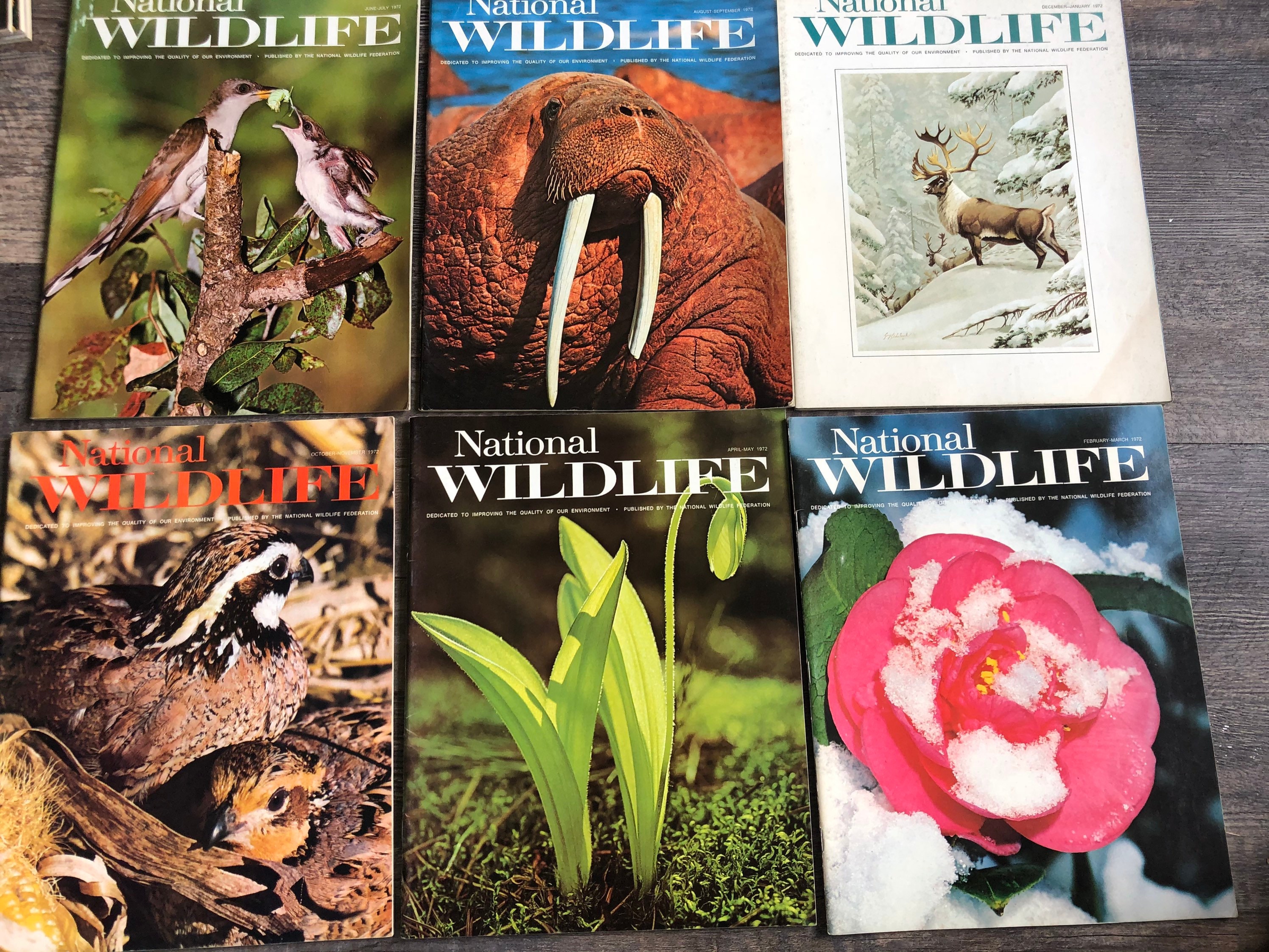 Lot of 6 different National wildlife Magazines. Used very good condition. 1972 Full year subscription.
