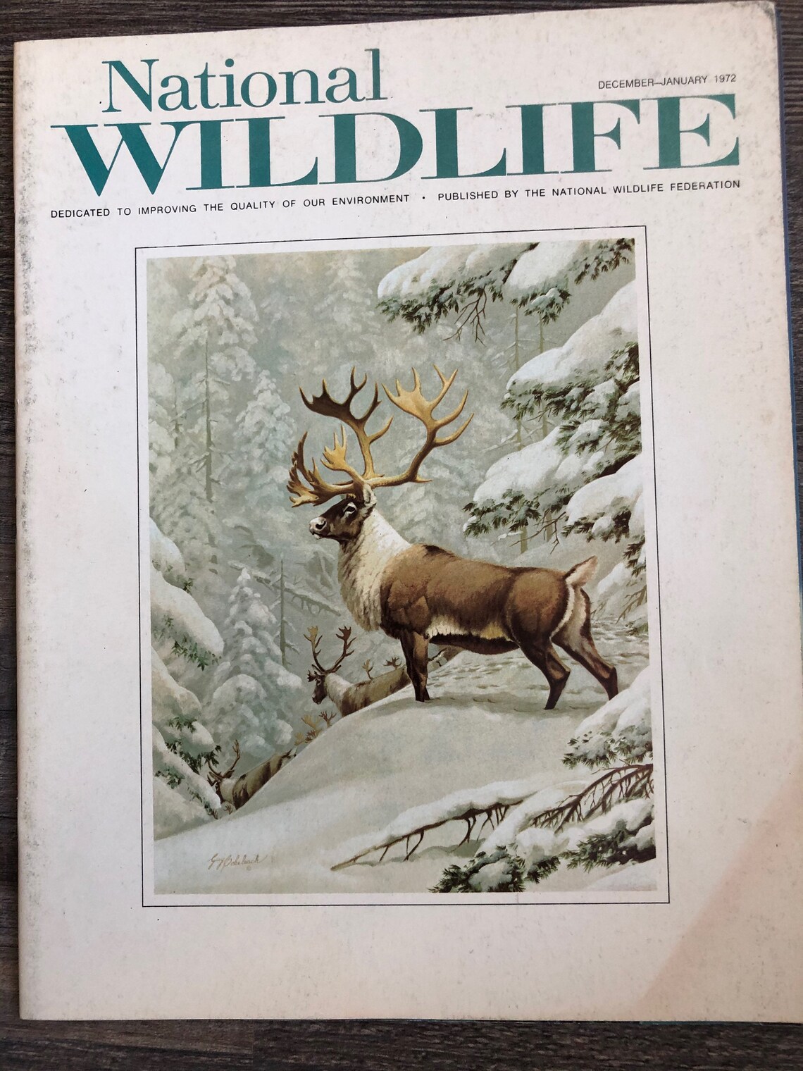 Lot of 6 Different National Wildlife Magazines. Used Very Good Etsy