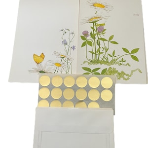 Puede incluir: Un juego de papelería blanca con un diseño floral con margaritas, trébol y una mariposa. El juego incluye sobres, papel de carta y pegatinas doradas. La palabra "Stamp" está impresa en la esquina superior derecha del papel de carta.