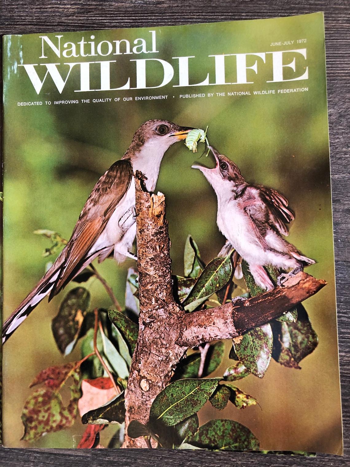 Lot of 6 Different National Wildlife Magazines. Used Very Good Etsy