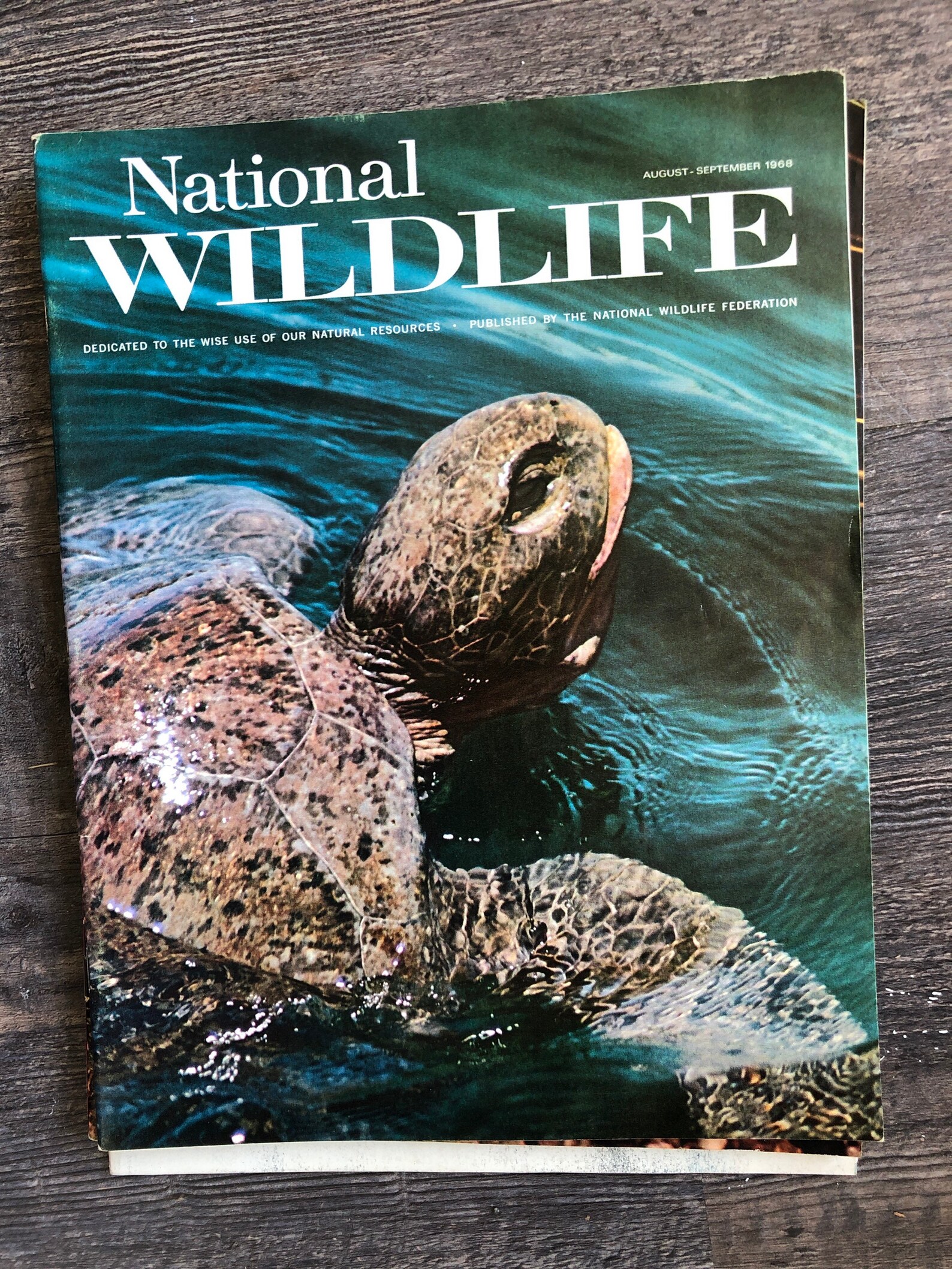 Lot of 5 Different National Wildlife Magazines. Used Very Good Etsy