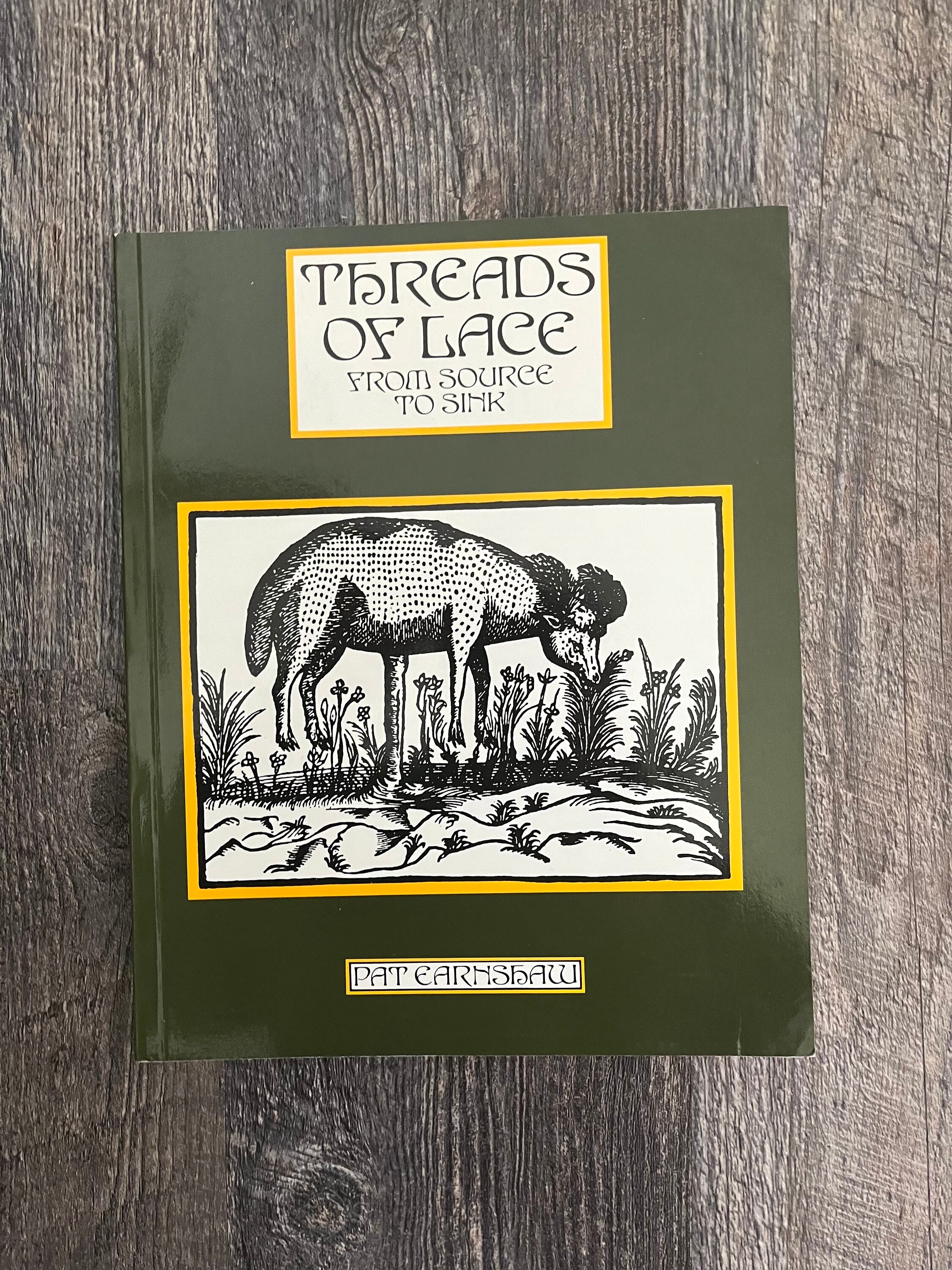 Vintage Threads of Lace From Source to Sink by Pat Earnshaw OR A