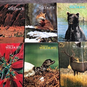 Lote de 6 revistas nacionais diferentes sobre vida selvagem. Usado em muito bom estado. 1976 Assinatura anual completa.