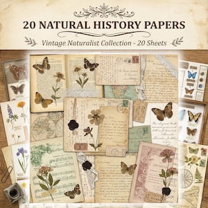 Könnte beinhalten: Eine Sammlung von 20 Naturkundepapieren aus der Vintage Naturalist Collection. Die Papiere zeigen Vintage-Ephemera, darunter Schmetterlinge, gepresste Blumen, Postkarten und botanische Illustrationen. Die Papiere haben einen Sepia-Ton.