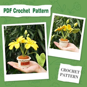 May include: A crochet pattern for a yellow flower plant in a pot. The pattern is available as a PDF download. The image shows two crocheted plants, one in each hand.