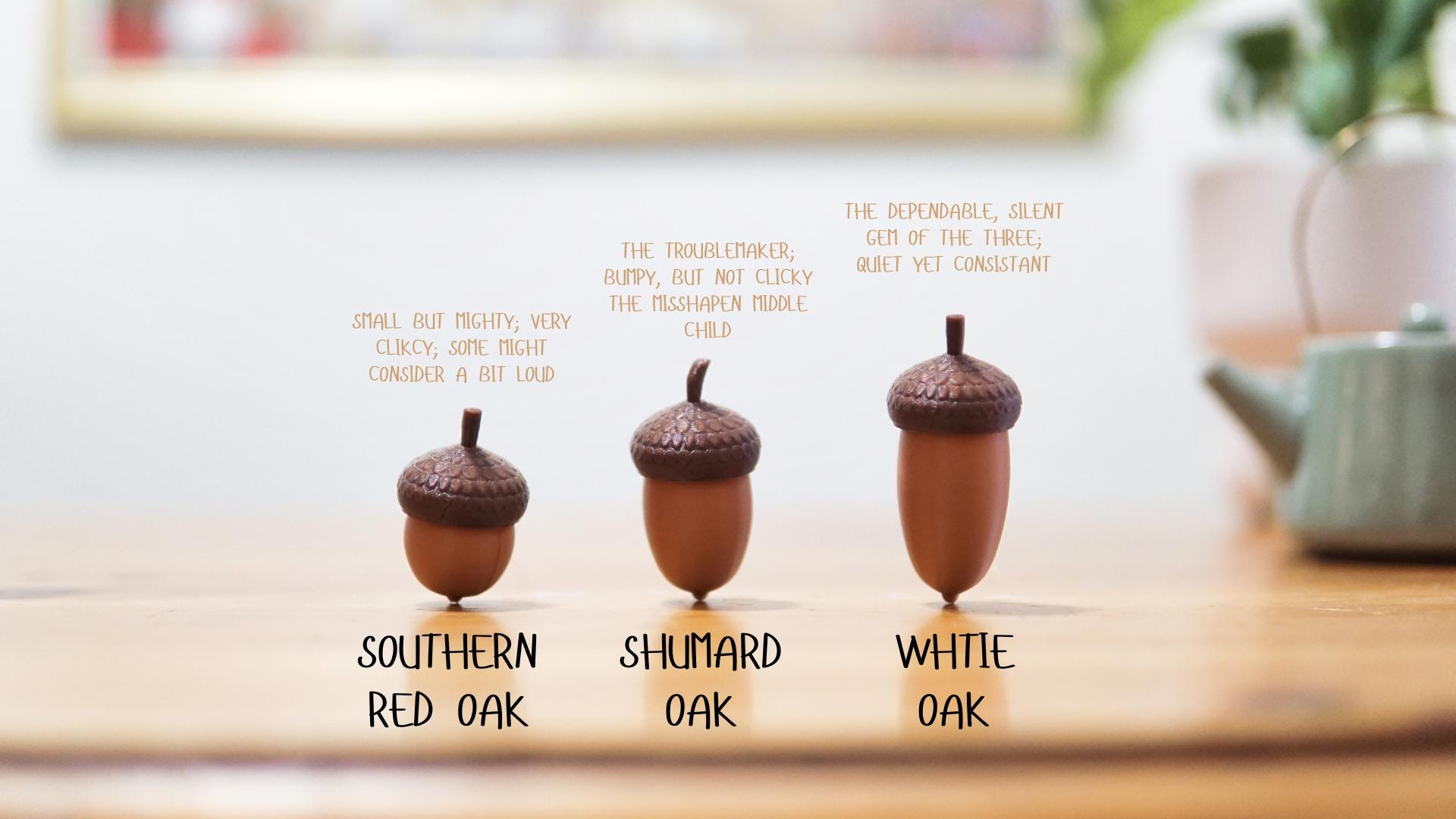 Nutter Clicker Acorn Fidget Toy! - Clicky, Tactile, Silent, Three ...