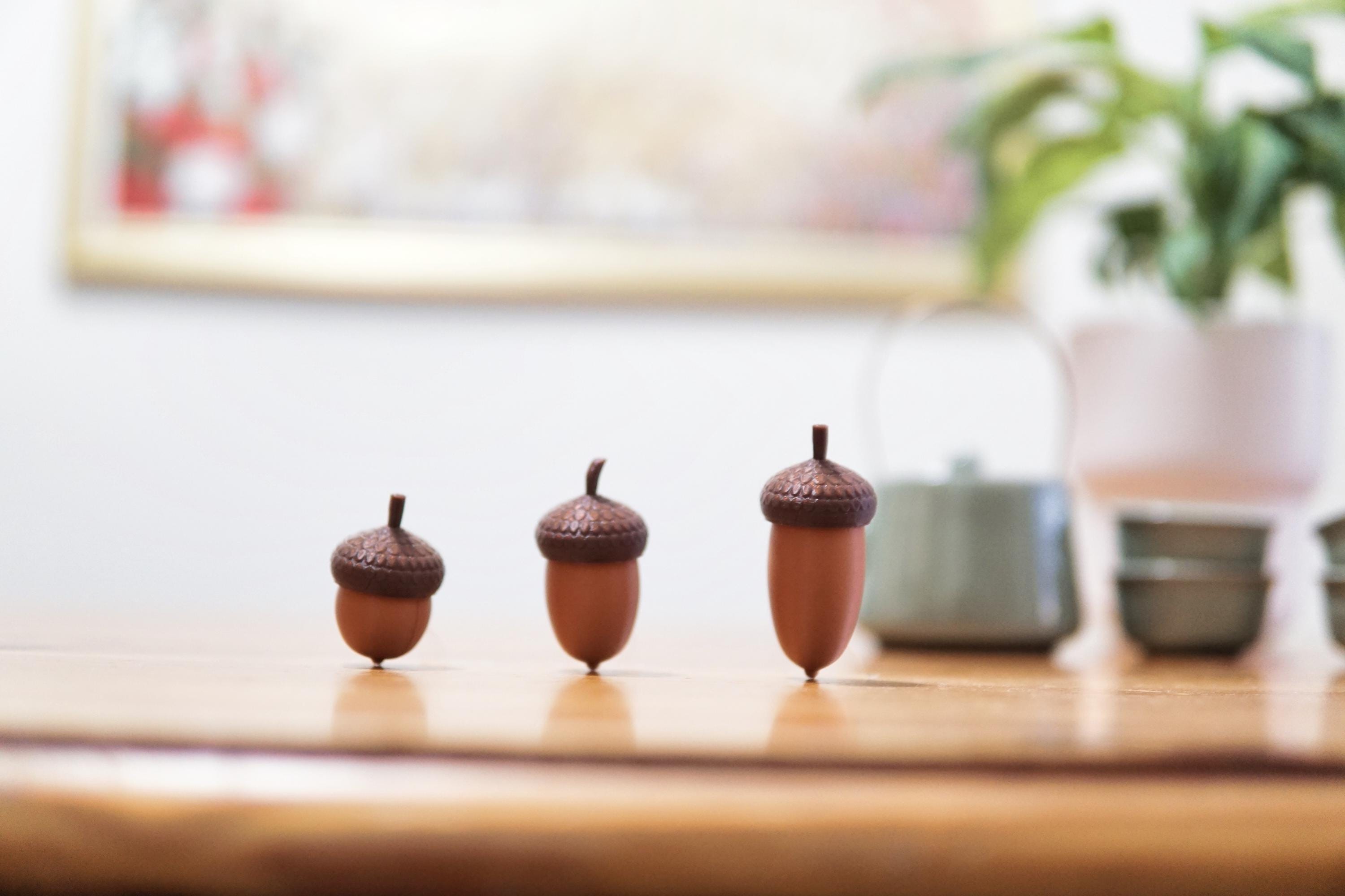 Nutter Clicker Acorn Fidget Toy! - Clicky, Tactile, Silent, Three ...