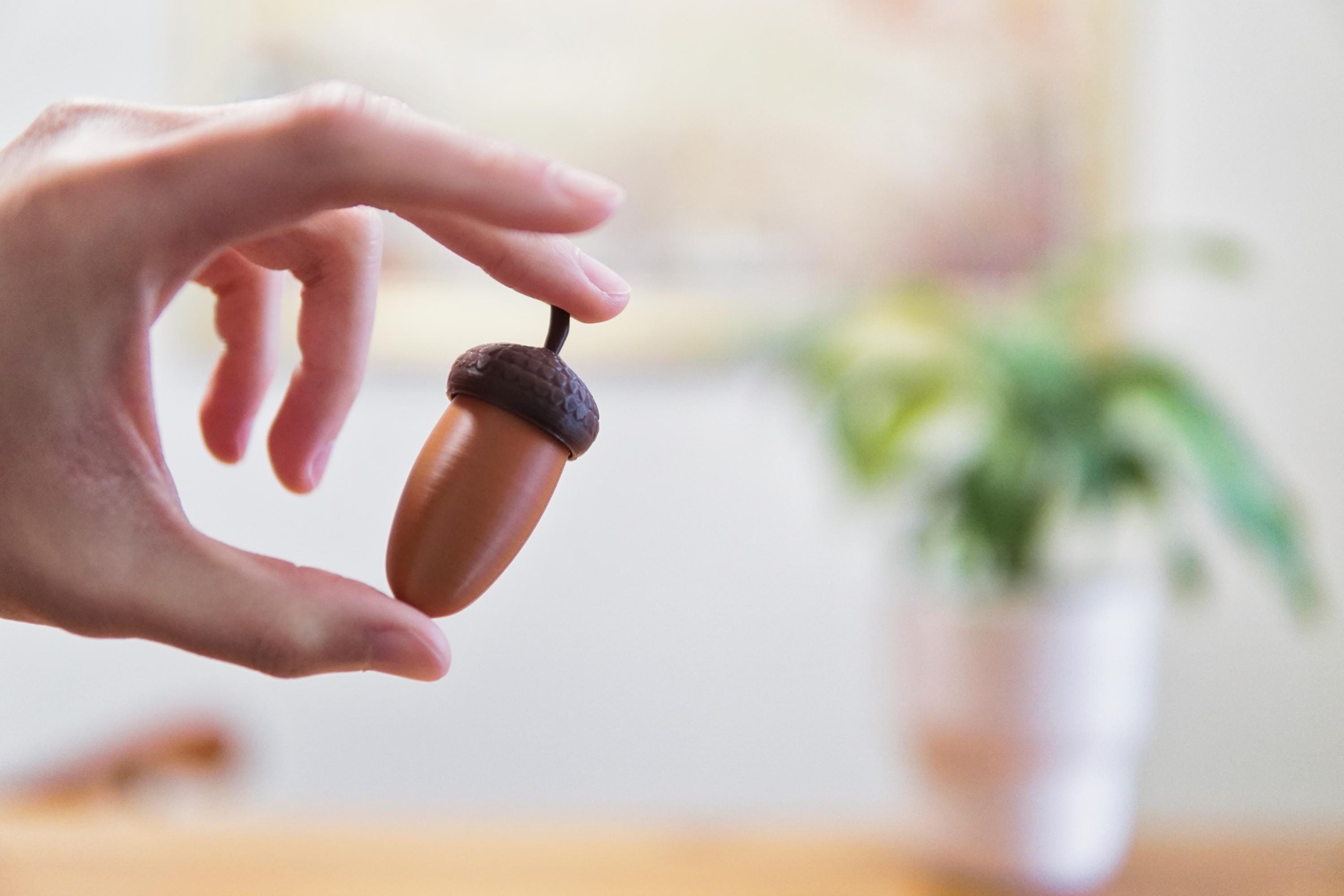Nutter Clicker Acorn Fidget Toy! - Clicky, Tactile, Silent, Three ...