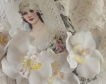 May include: A vintage-style framed print of a bride in a veil, surrounded by white orchid flowers and delicate lace. The bride is wearing a pearl necklace and holding a bouquet. The overall color palette is soft and romantic.