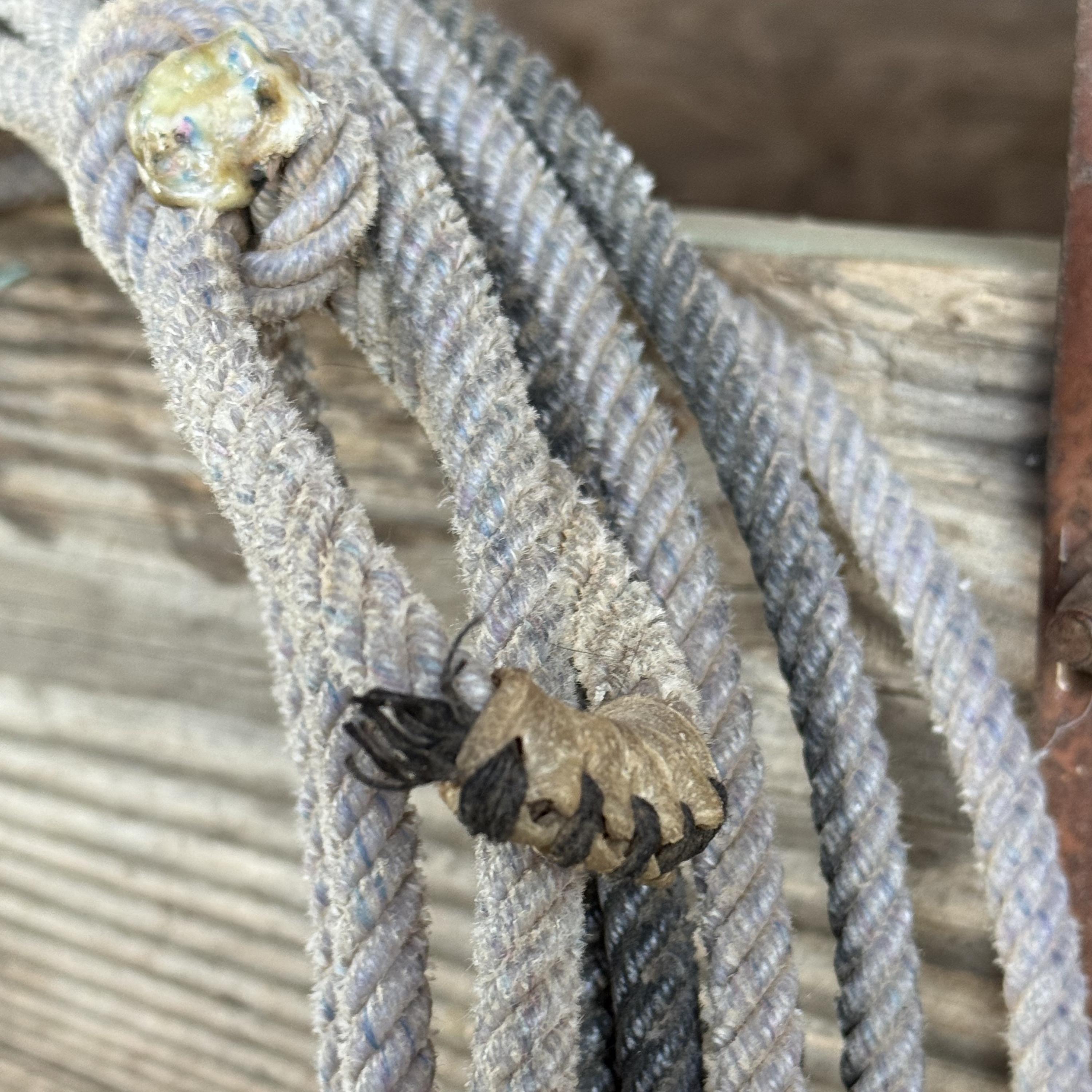 Used Lariat Ropes Dusty Lilac Ranch Rope | Authentic Used Cowboy Lariat | Western, Rodeo ...