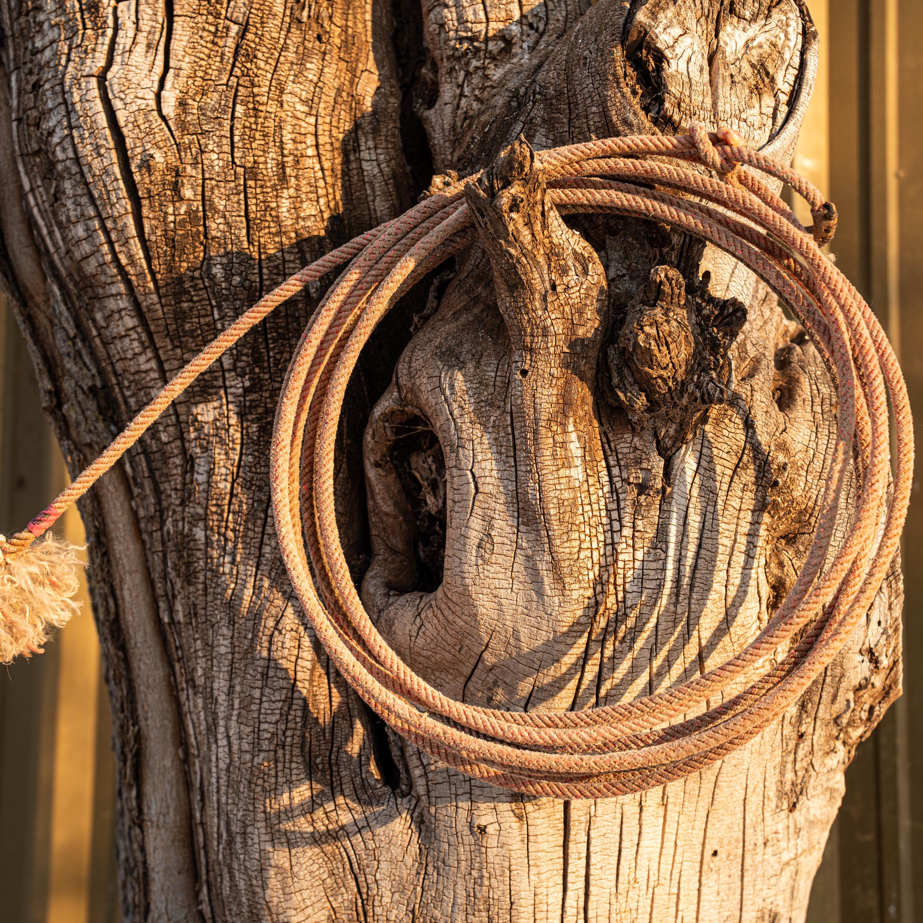 Used Lariat Ropes Desert Rose Ranch Rope | Authentic Used Cowboy Lariat | Western, Rodeo ...