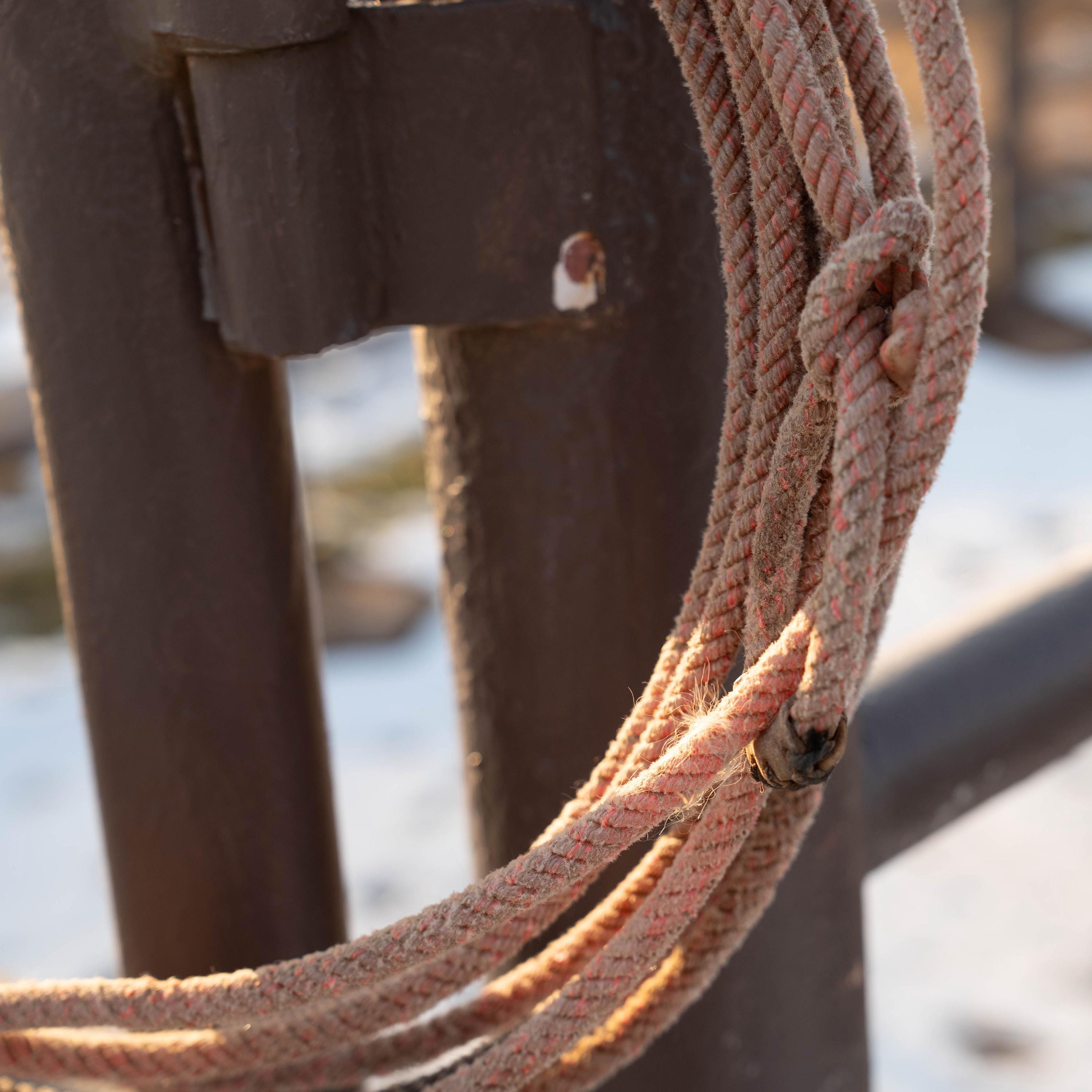 Used Cowboy Ropes Desert Rose Ranch Rope | Authentic Used Cowboy Lariat | Western, Rodeo ...