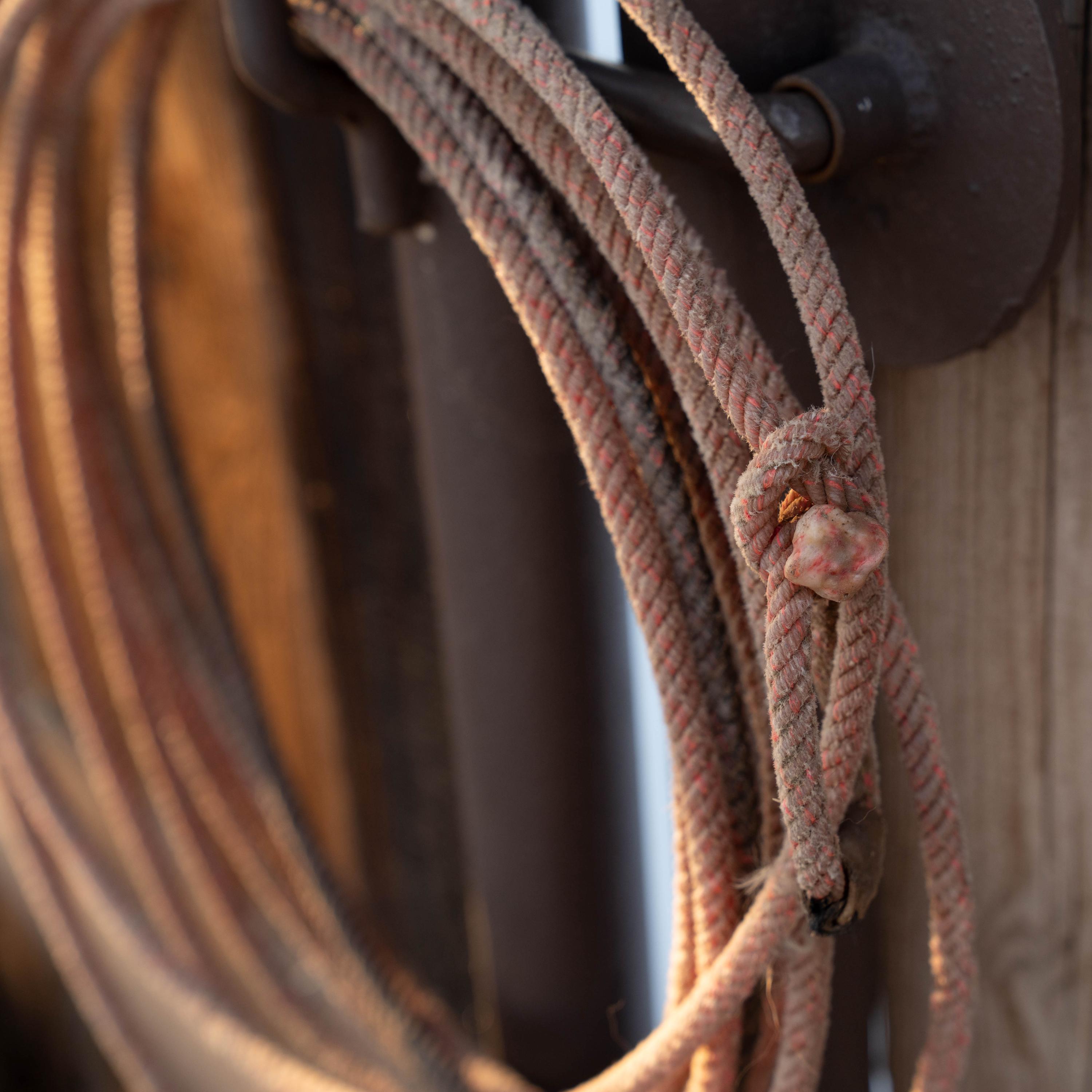 Used Cowboy Ropes Desert Rose Ranch Rope | Authentic Used Cowboy Lariat | Western, Rodeo ...