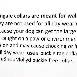 Martingale collar Cookie Monster Sesame Characters greyhound galgo sighthound whippet dog collar image 3