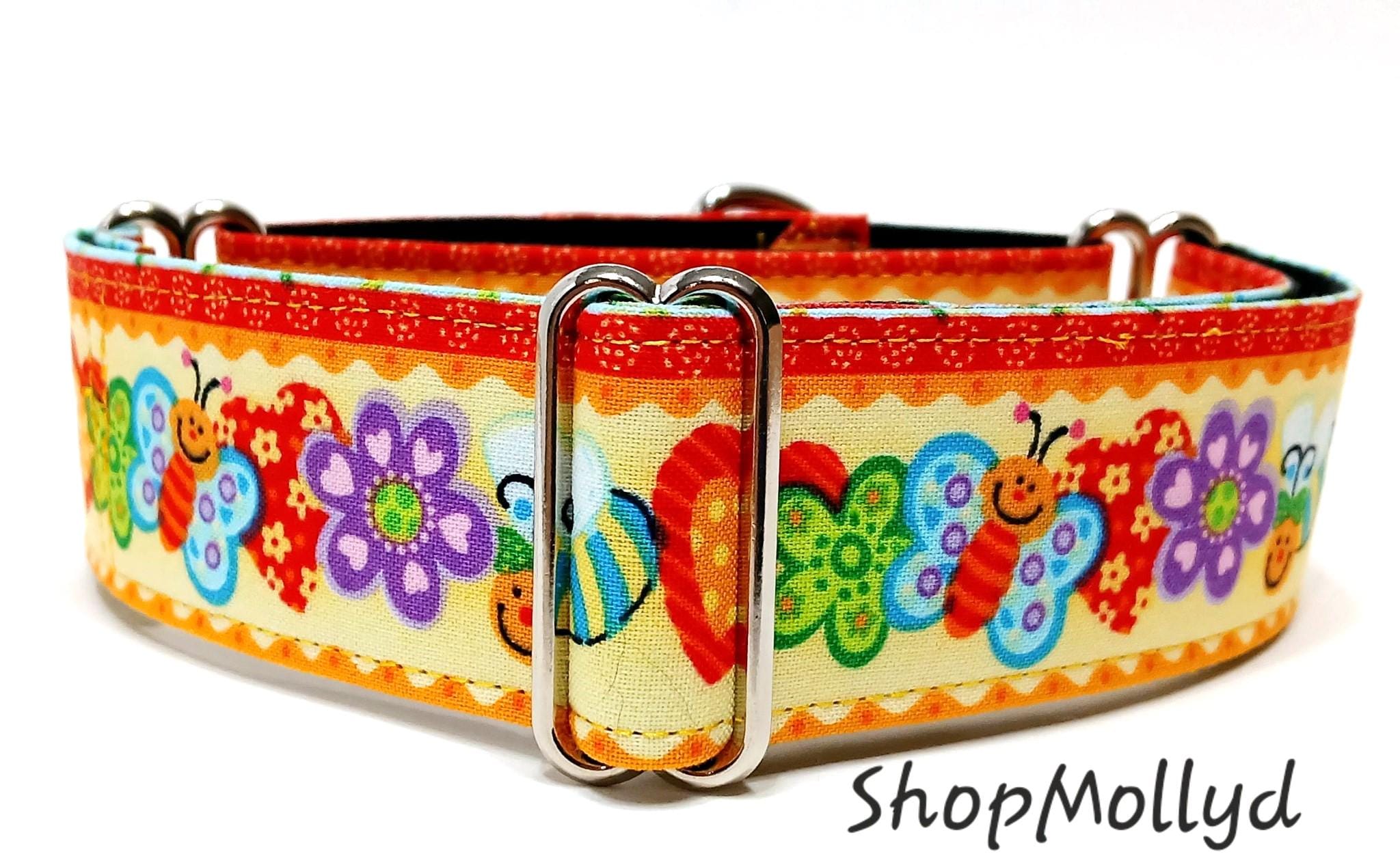 Dog Collars Bargain Hound Plastic Dog Crate Hound Designs Regal