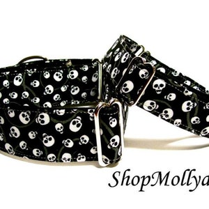 Martingale collar Tag Buckle collar Black and White Skulls  greyhound galgo sighthound whippet Small dog Large dog