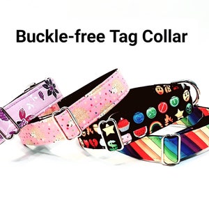 Martingale collar Cookie Monster Sesame Characters greyhound galgo sighthound whippet dog collar image 2