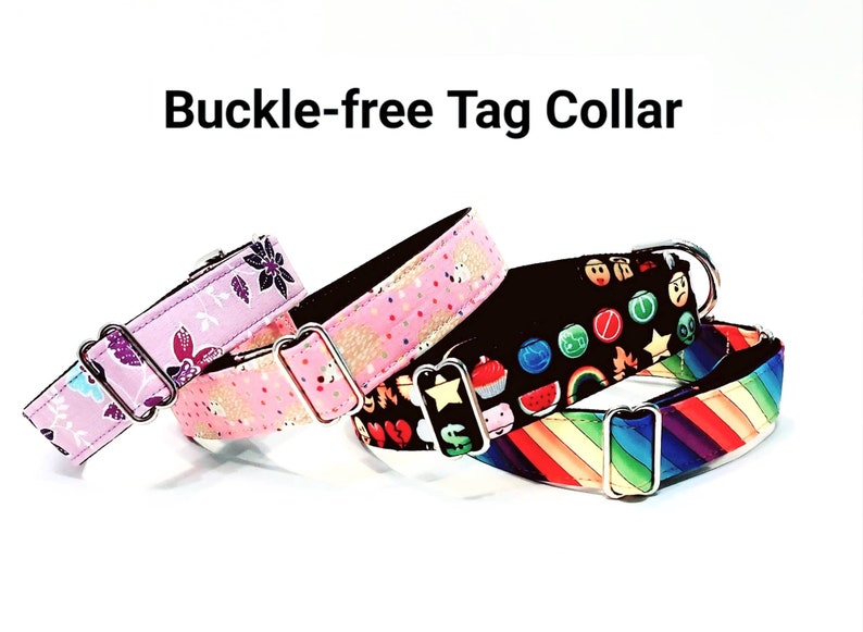 Martingale collar Cookie Monster Sesame Characters greyhound galgo sighthound whippet dog collar image 2