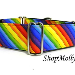 Martingale collar Tag collar  greyhound galgo sighthound whippet rainbow dog collar wolfhound rainbow colors