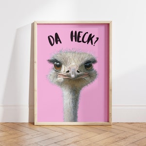 Da Heck Funny Ostrich Wall Art Funny Quote Poster For Dorm Room Decor Animal Lovers Gift