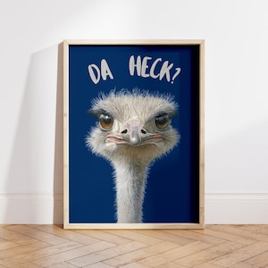 Da Heck Funny Ostrich Wall Art Funny Quote Poster For Dorm Room Decor Animal Lovers Gift