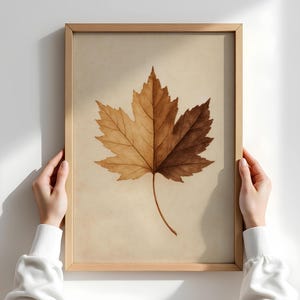 Puede incluir: Una impresión enmarcada con una ilustración detallada de una hoja de arce. La hoja está dividida verticalmente, con un lado en marrón claro y el otro en marrón oscuro. El marco es de madera clara y el fondo es beige suave.