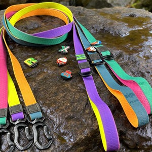 May include: A collection of colorful dog leashes in shades of pink, yellow, orange, green, and purple. Each leash has a black clasp and buckle. Several decorative charms with letters and holiday themes are scattered nearby.
