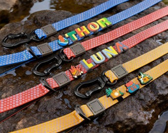 Beach Dog Collar and Leash Set, Custom Detachable Letter & Pattern Accessories, Waterproof, Gifts for Mommy Dog