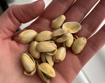 Ceramic pistachios!
