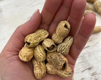 Ceramic peanuts!