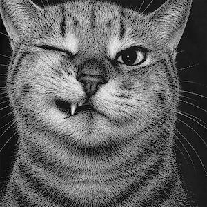 Sassy Cat PNG | Funny Winking Cat Face | Retro Animal Digital Download