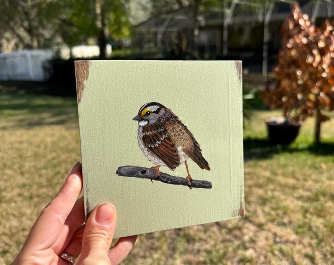 Hand-Painted Bird Art on Wood — Rustic Wall Hanging — Nature-Inspired Cottagecore Decor — 5.5” Wooden Plaque