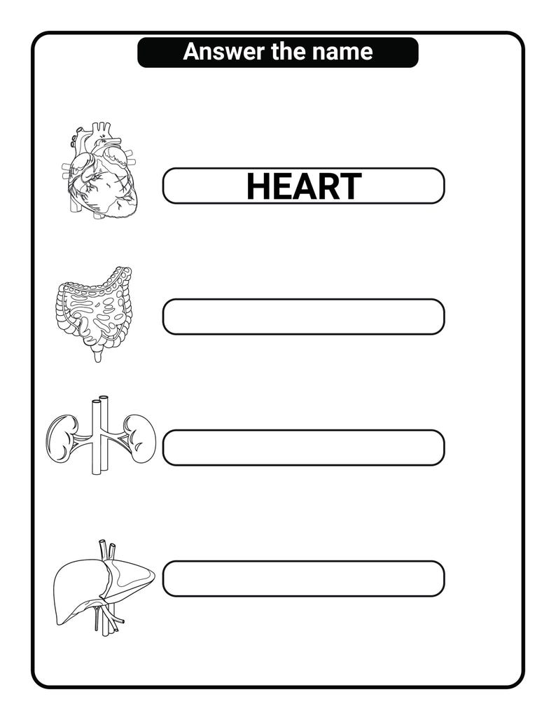 Human Anatomy Coloring Pages & Math Activity Book for Kids ...