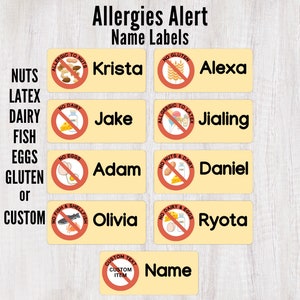 Allergy Name Labels | Personalized Food Allergy Alert Labels for Kids Daycare School Lunchbox Custom Allergen Waterproof Name Label Stickers